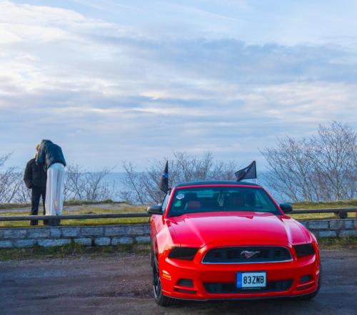 60th Mustang anniversary (43)