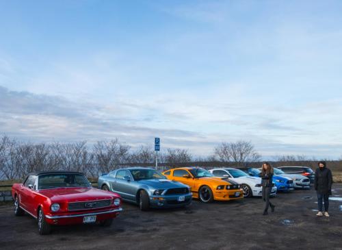 60th Mustang anniversary (45)