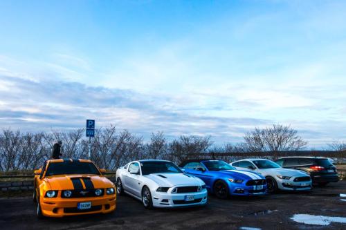 60th Mustang anniversary (47)