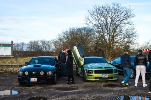 60th Mustang anniversary (48)