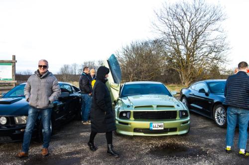 60th Mustang anniversary (49)