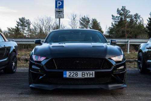 60th Mustang anniversary (50)