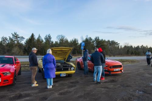 60th Mustang anniversary (52)