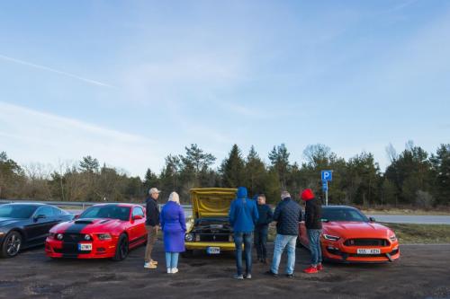 60th Mustang anniversary (53)