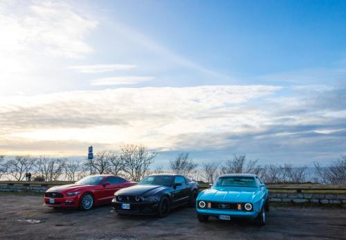 60th Mustang anniversary (55)