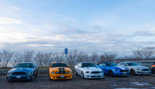 60th Mustang anniversary (61)