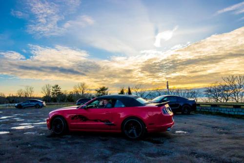60th Mustang anniversary (67)